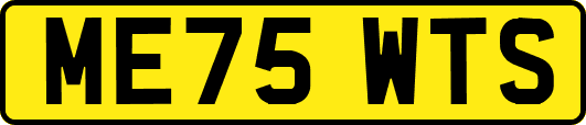 ME75WTS