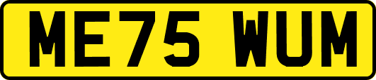 ME75WUM