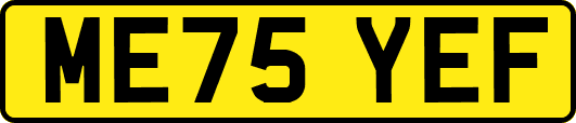 ME75YEF
