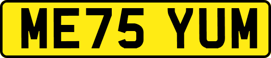 ME75YUM