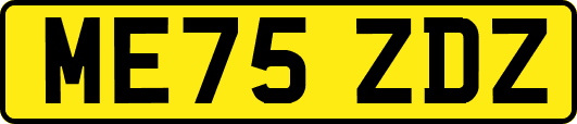ME75ZDZ