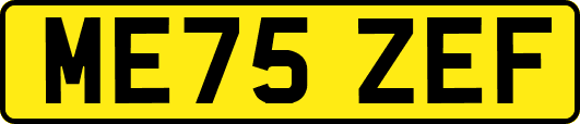 ME75ZEF
