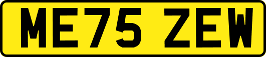 ME75ZEW