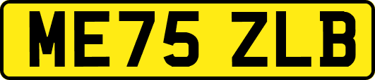 ME75ZLB