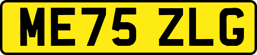 ME75ZLG