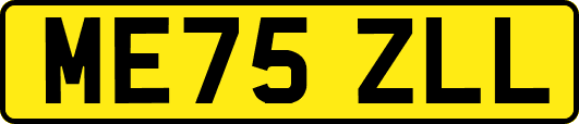 ME75ZLL