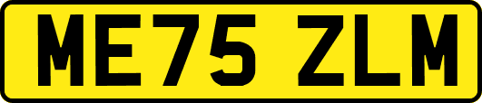 ME75ZLM