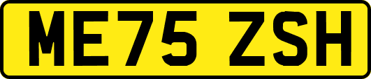 ME75ZSH