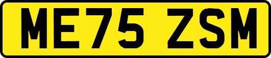 ME75ZSM