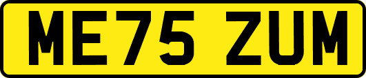 ME75ZUM