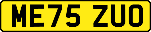 ME75ZUO