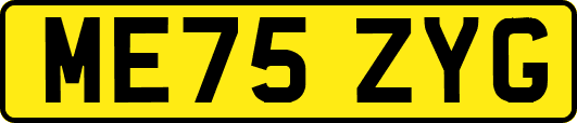 ME75ZYG