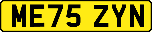 ME75ZYN