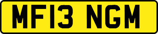 MF13NGM
