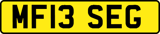 MF13SEG
