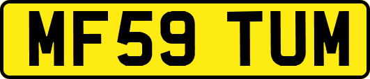MF59TUM
