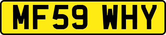 MF59WHY