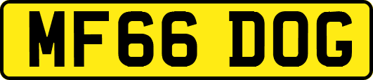 MF66DOG