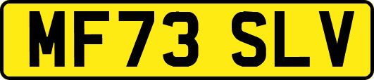 MF73SLV