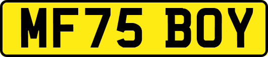 MF75BOY