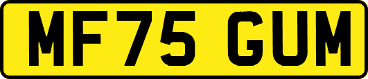 MF75GUM