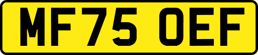 MF75OEF