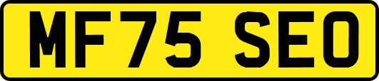 MF75SEO