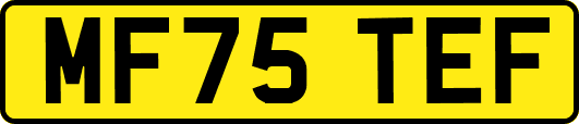 MF75TEF