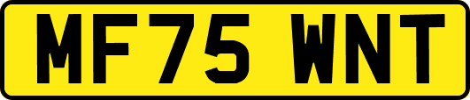 MF75WNT