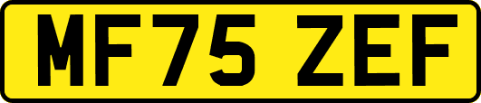 MF75ZEF