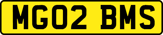 MG02BMS