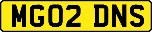 MG02DNS