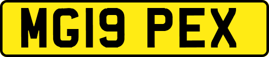 MG19PEX