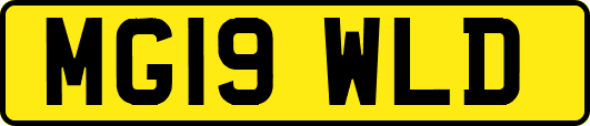 MG19WLD