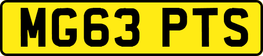MG63PTS