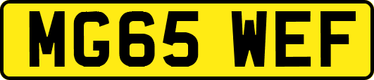 MG65WEF