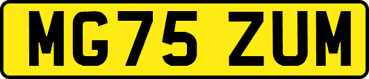 MG75ZUM