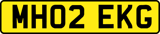MH02EKG