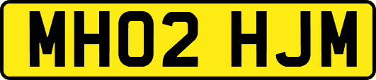 MH02HJM