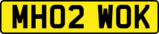 MH02WOK