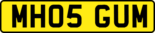 MH05GUM
