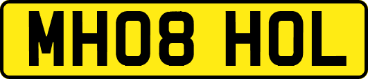 MH08HOL