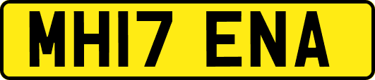 MH17ENA