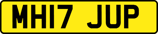 MH17JUP