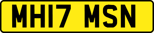 MH17MSN