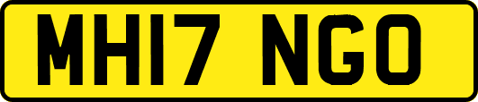 MH17NGO
