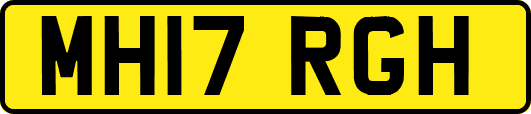 MH17RGH