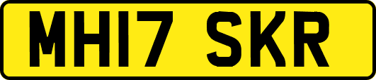 MH17SKR