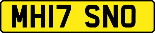 MH17SNO