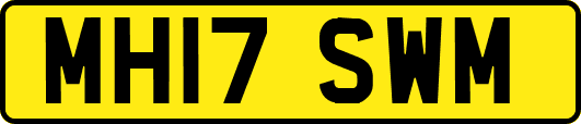 MH17SWM